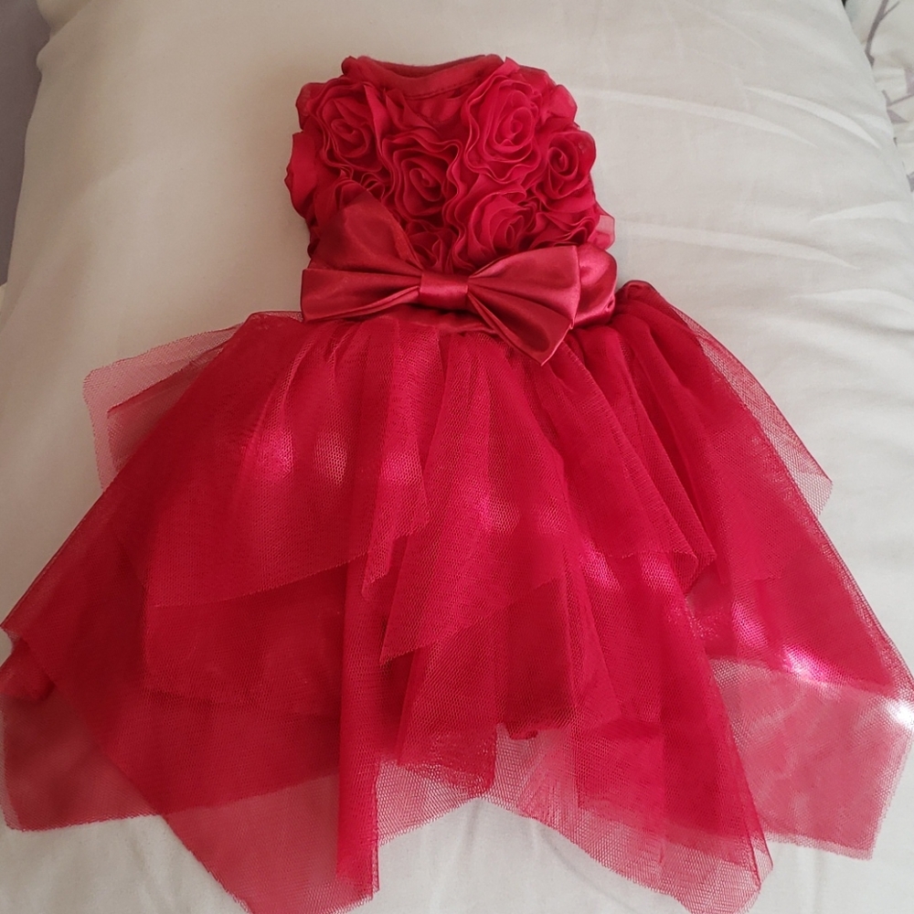 Pawtpatu Gorgeous Red Dress